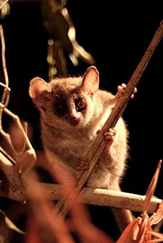 Vue 3 de Madagascar Bluray