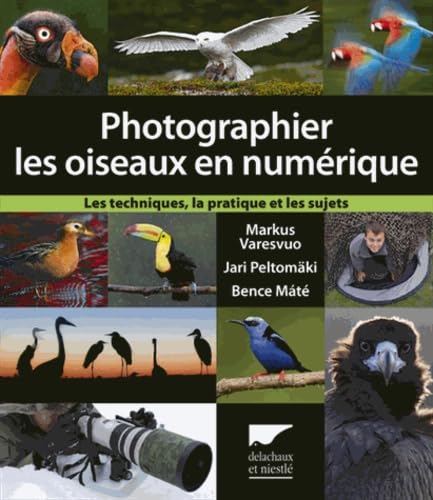 Photographier Les Oiseaux En