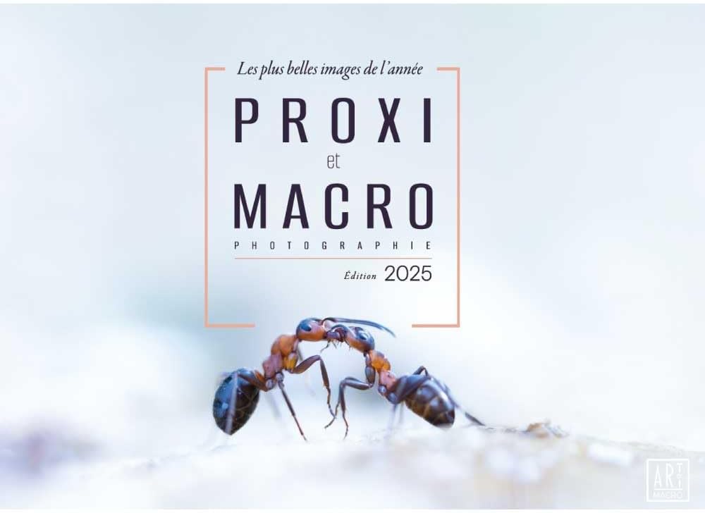 Vue 7 de Lart De La Photo