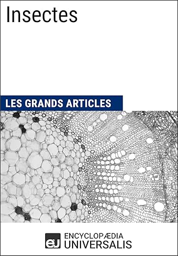 Insectes Les Grands Articles