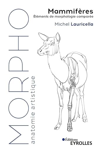 Morpho Mammiferes Elements De