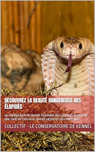 Decouvrez La Beaute Dangereuse