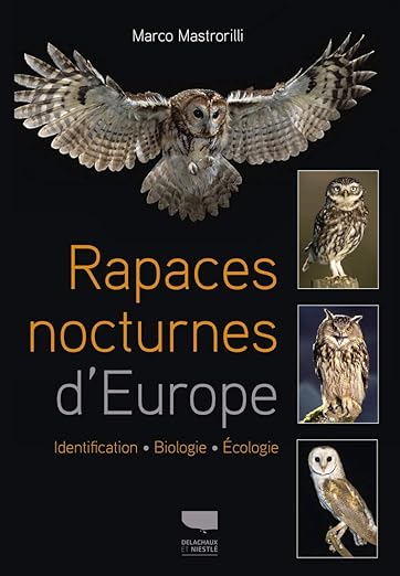 Rapaces Nocturnes Deurope Identification
