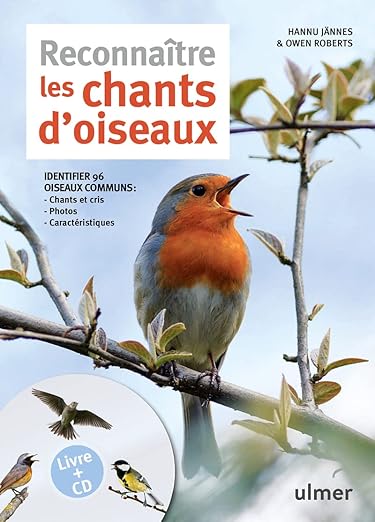 Reconnaitre Les Chants Doiseaux