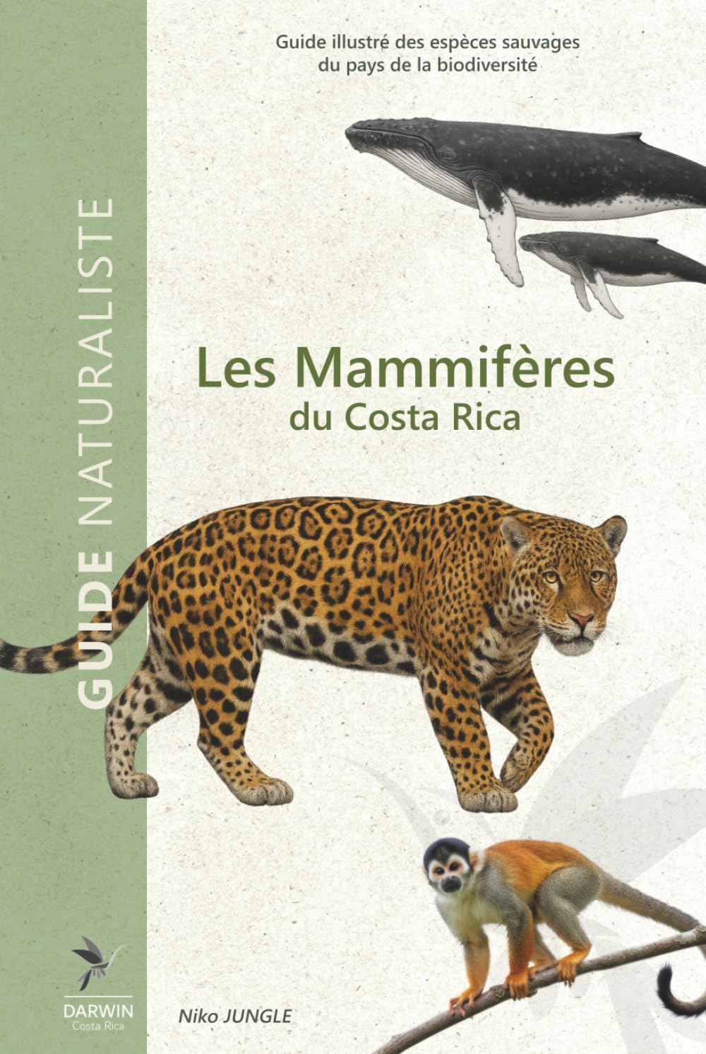 Vue 7 de The Wildlife Of Costa