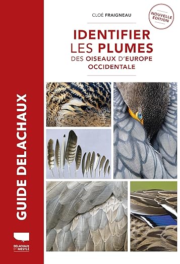 Identifier Les Plumes Des
