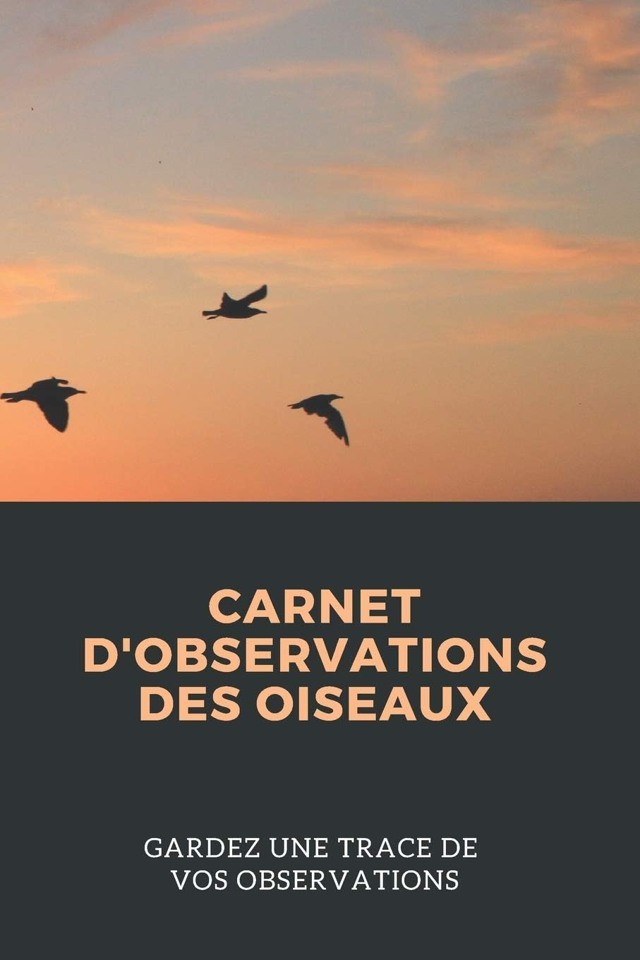 Vue 3 de Tous Les Oiseaux Rares
