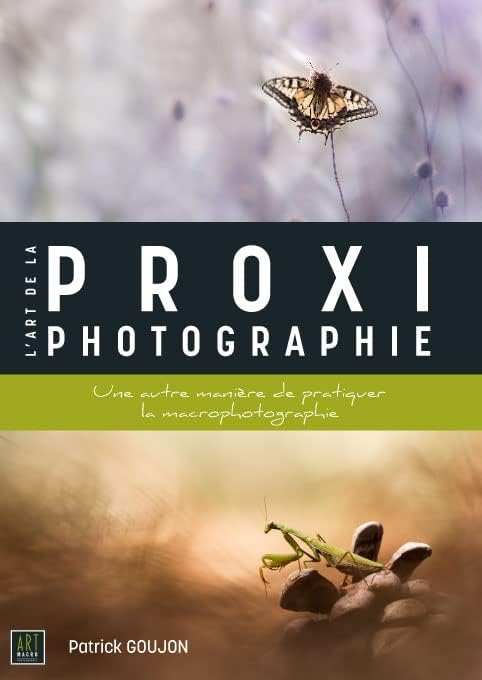 Vue 4 de Identifier Les Plumes Des