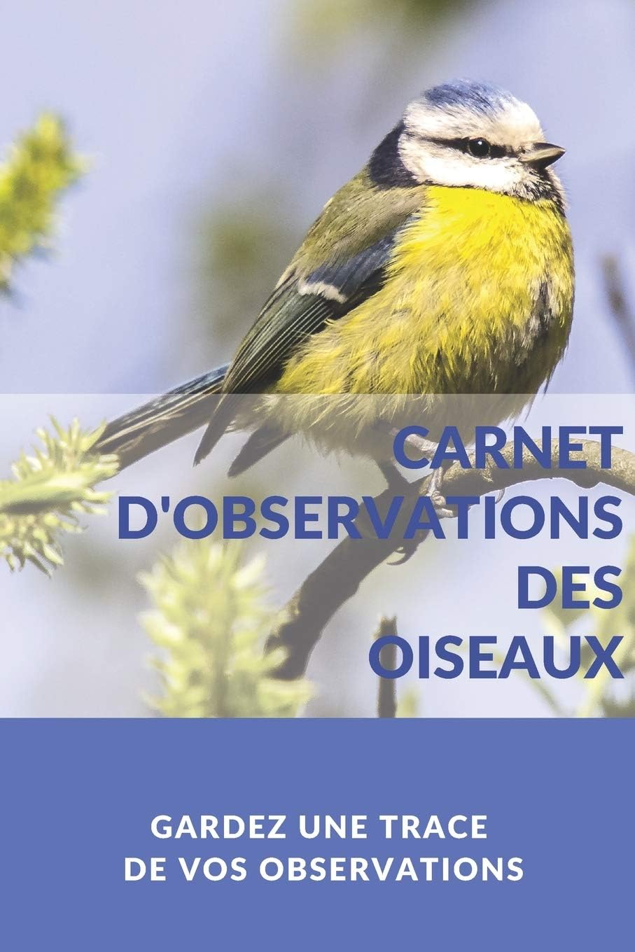 Vue 5 de Tous Les Oiseaux Rares