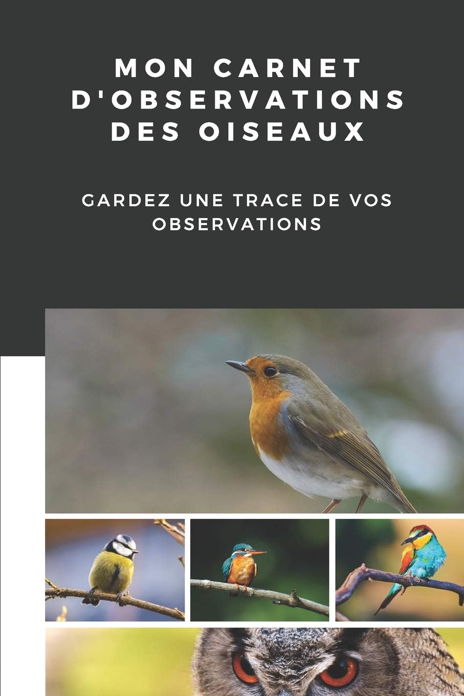 Vue 7 de Tous Les Oiseaux Rares