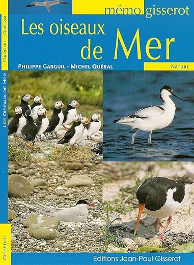 Memo Les Oiseaux De