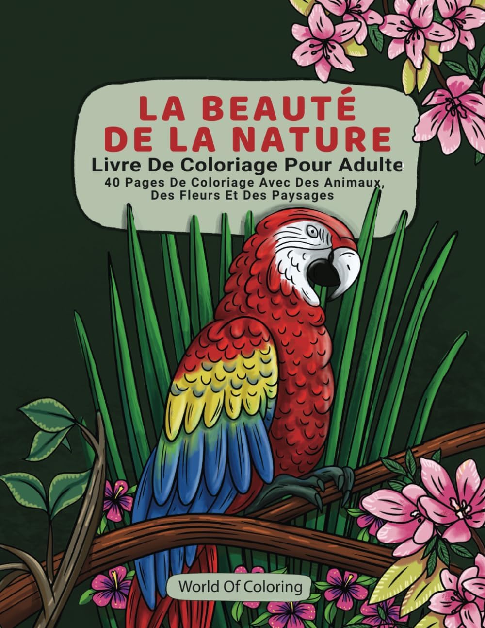 Vue 5 de Memo Les Oiseaux De