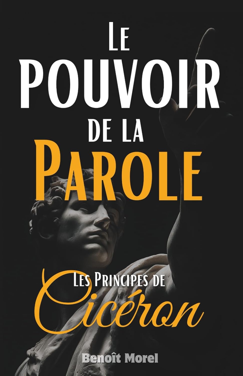 Vue 6 de Ou Voir Les Oiseaux