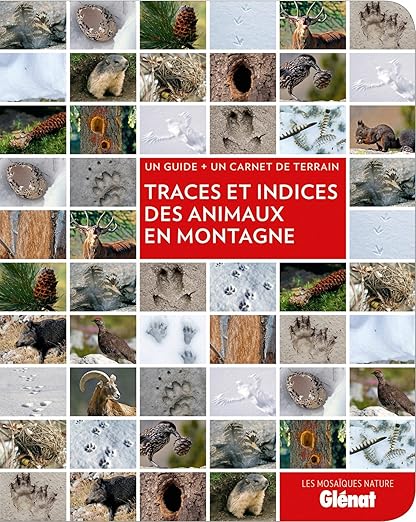 Traces Et Indices Des