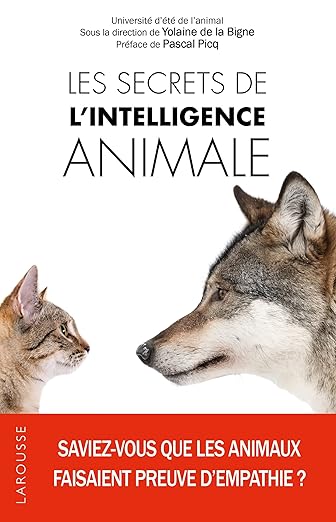 Les Secrets De Lintelligence