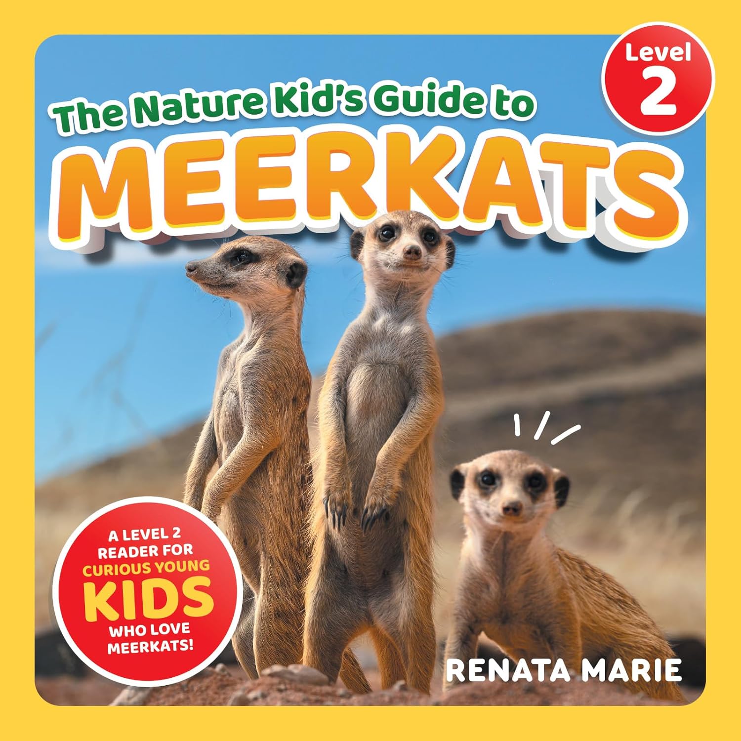 Vue 4 de La Vie Sociale Des