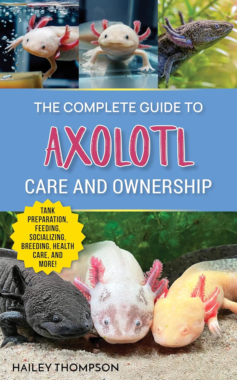 Vue 7 de La Vie Sociale Des