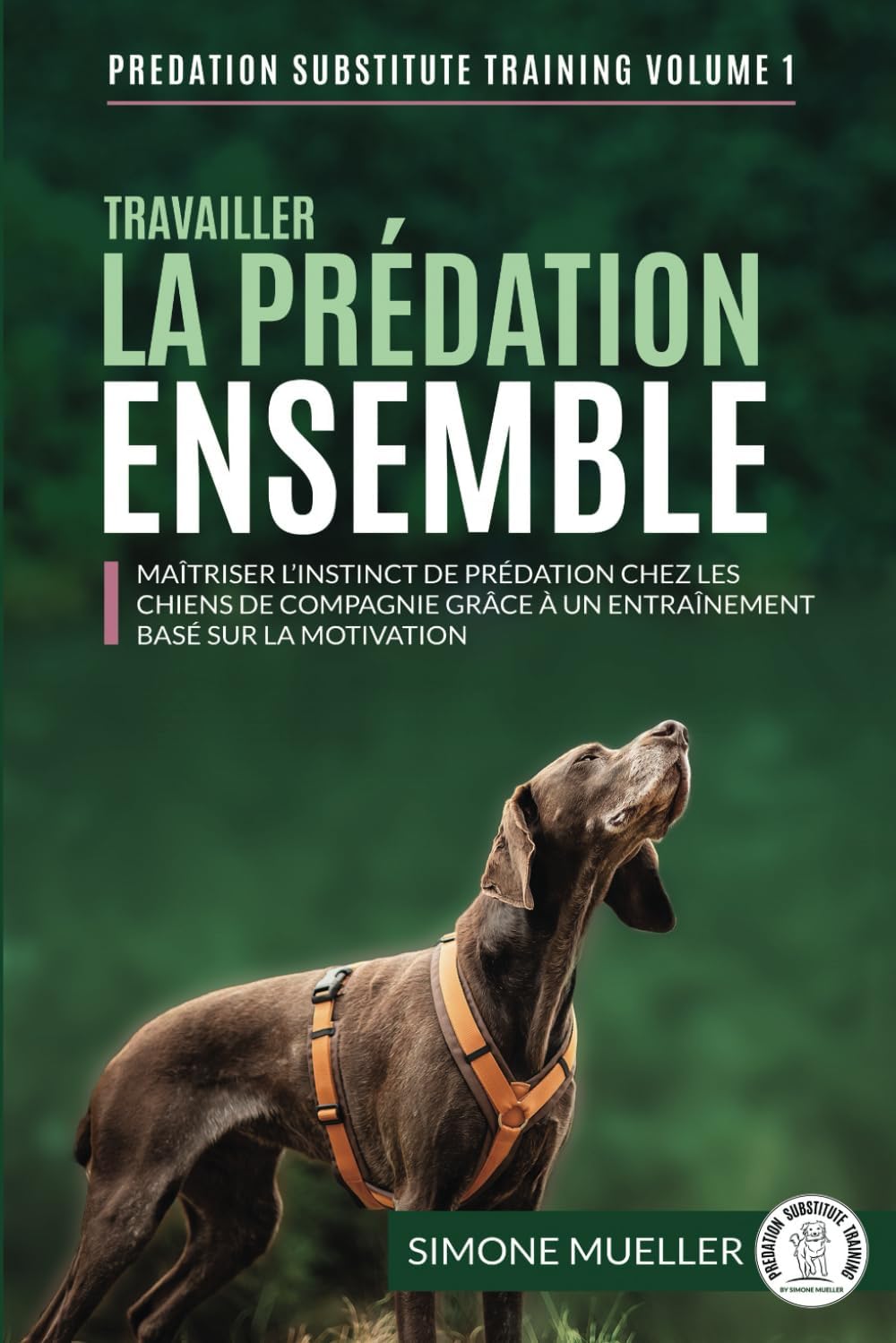 Vue 4 de Les Signaux Dapaisement Les