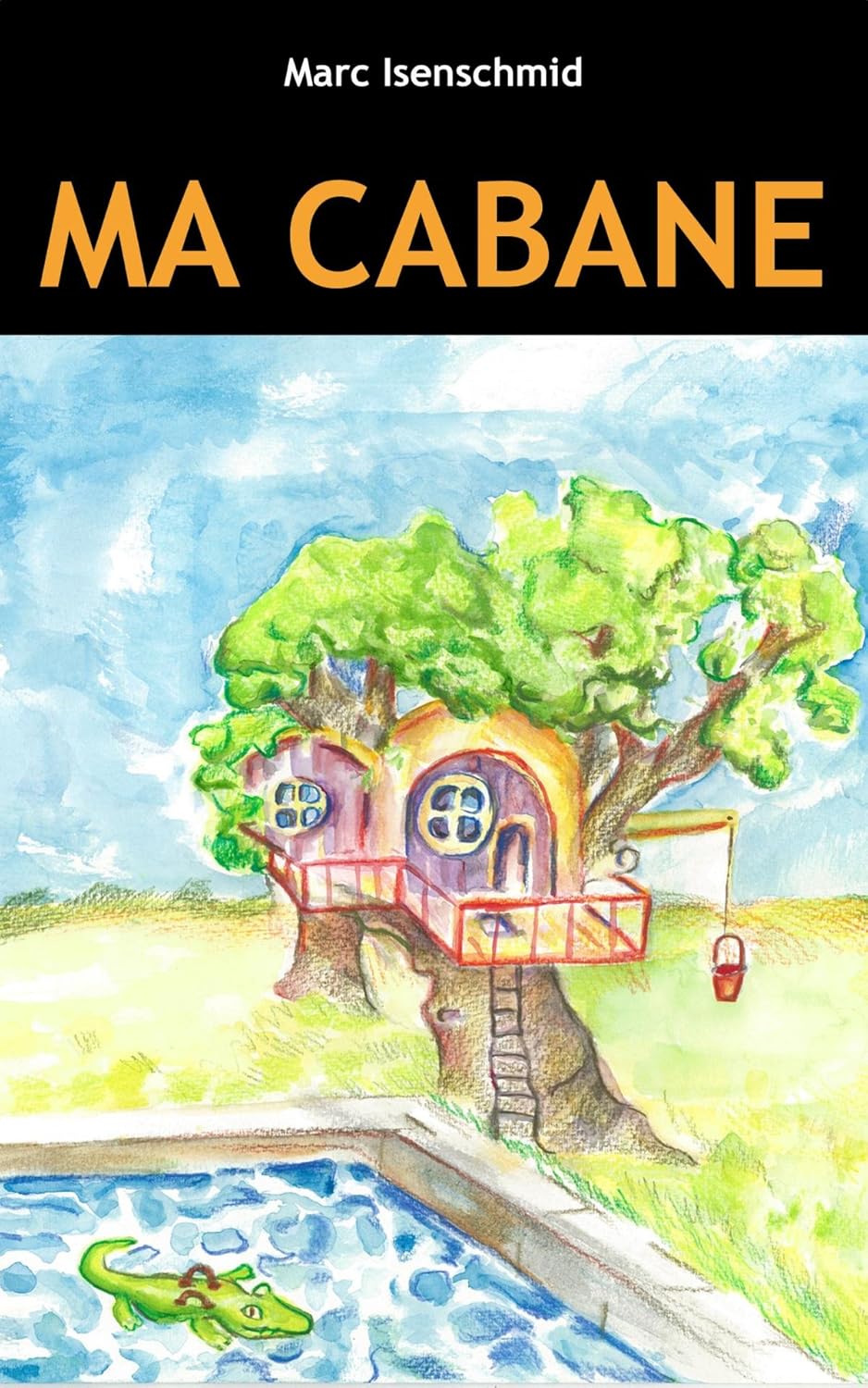 Vue 4 de Lagression Une Histoire Naturelle