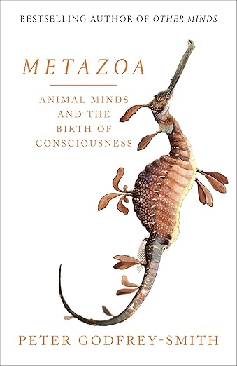 Metazoa Animal Minds And
