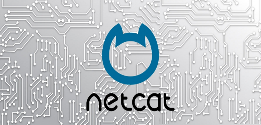 How to Simulate a TCP/UDP Client Using Netcat