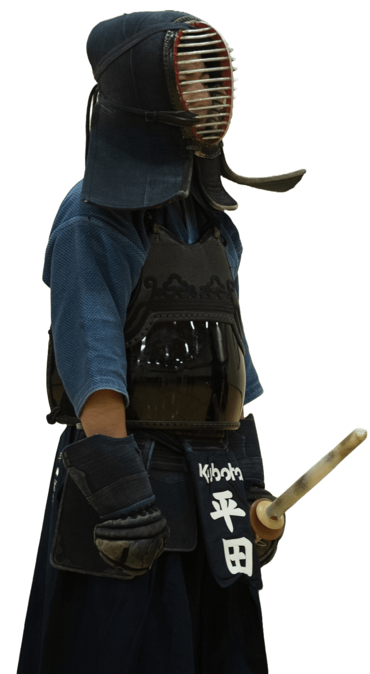 Picture of a standing kenshi