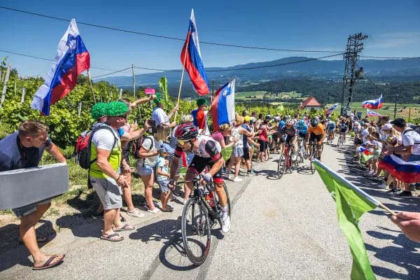 Tour of Slovenia 2023 Betting Favourites