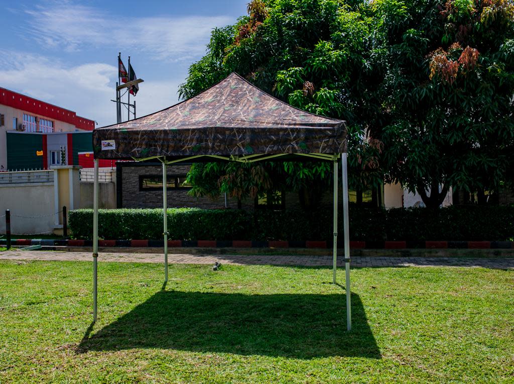 leaf tree gazebo