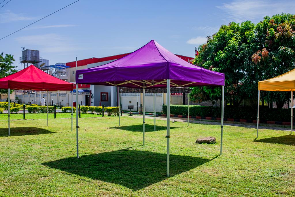 purple gazebo