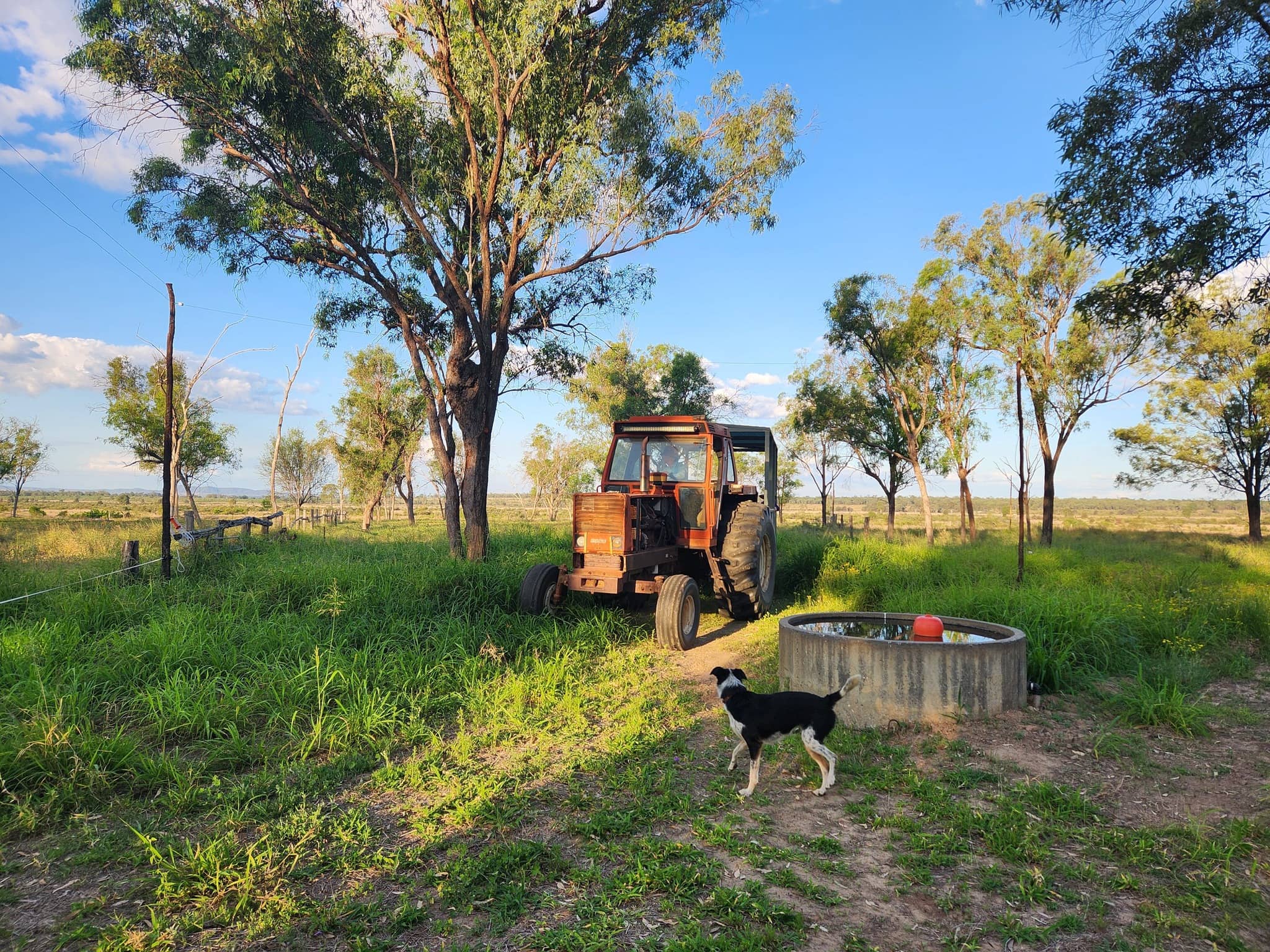 Myella Farm Stay