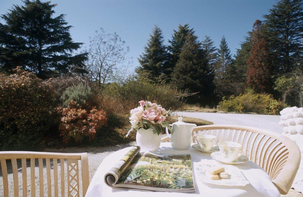 Chelsea Park Bed & Breakfast