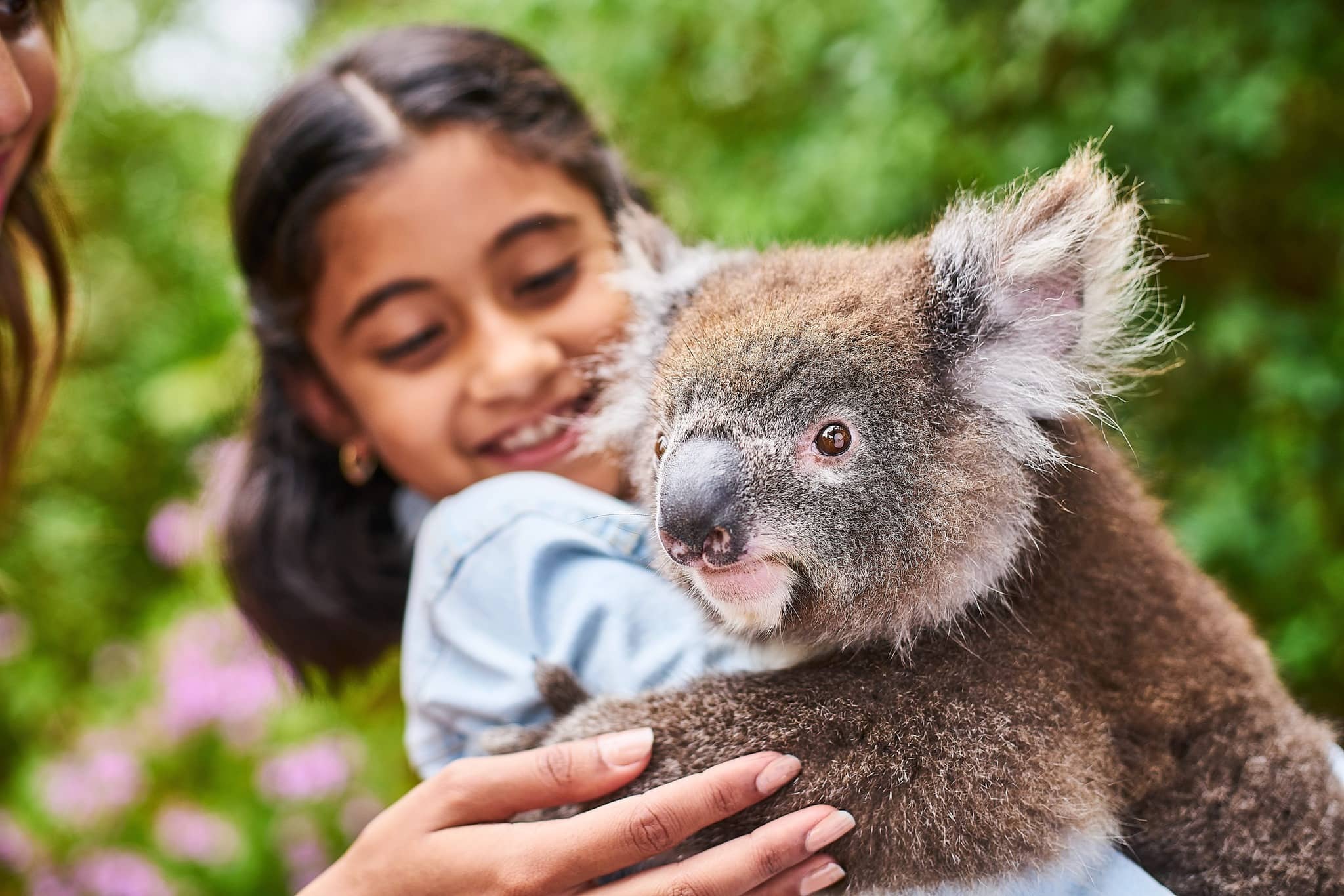 Kangaroo Island Wildlife Park