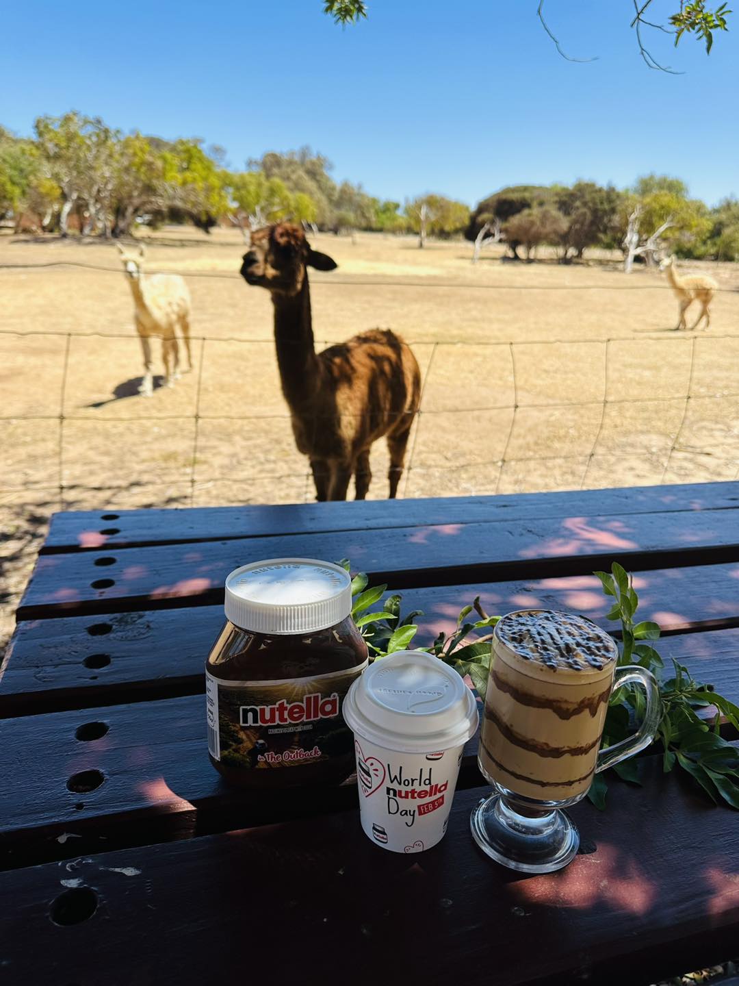 Central Greenough Cafe