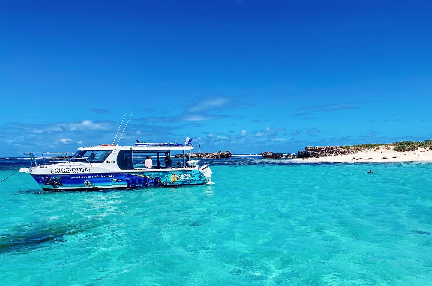 Turquoise Safaris - Sea Lion Tours