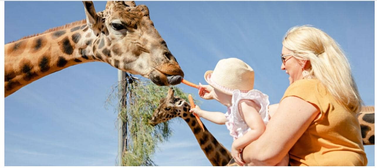 Monarto Safari Park