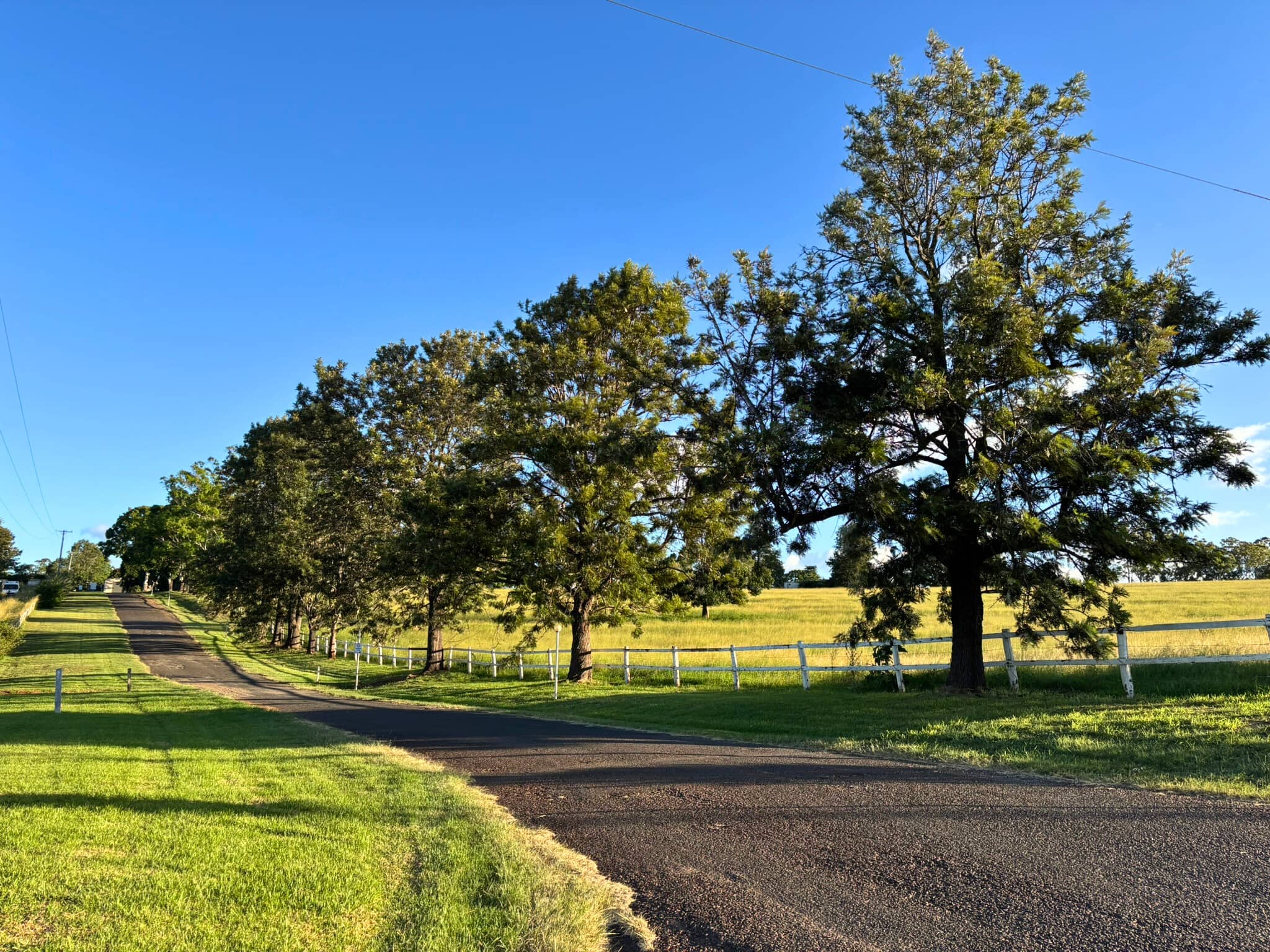 Yarraman Caravan Park & Cabins