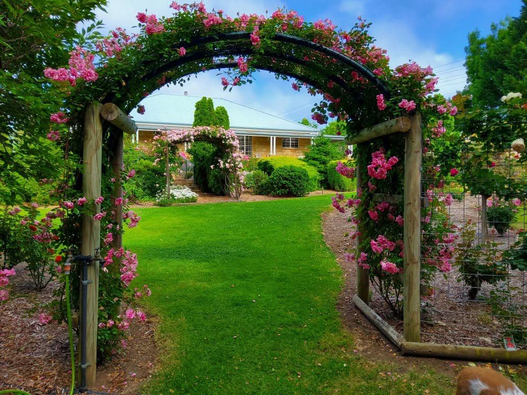 Behind The Hedge Tenterfield
