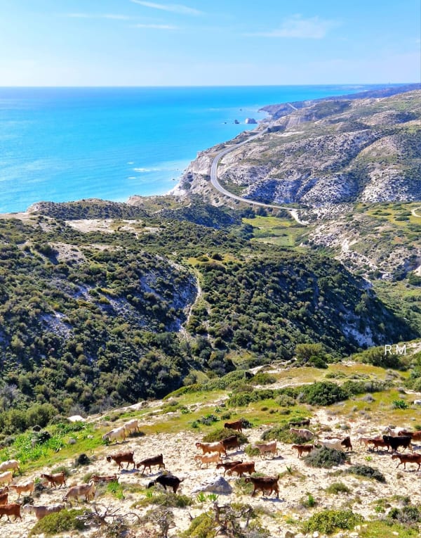 Around Cyprus — Hiking the Mediterranean Blue