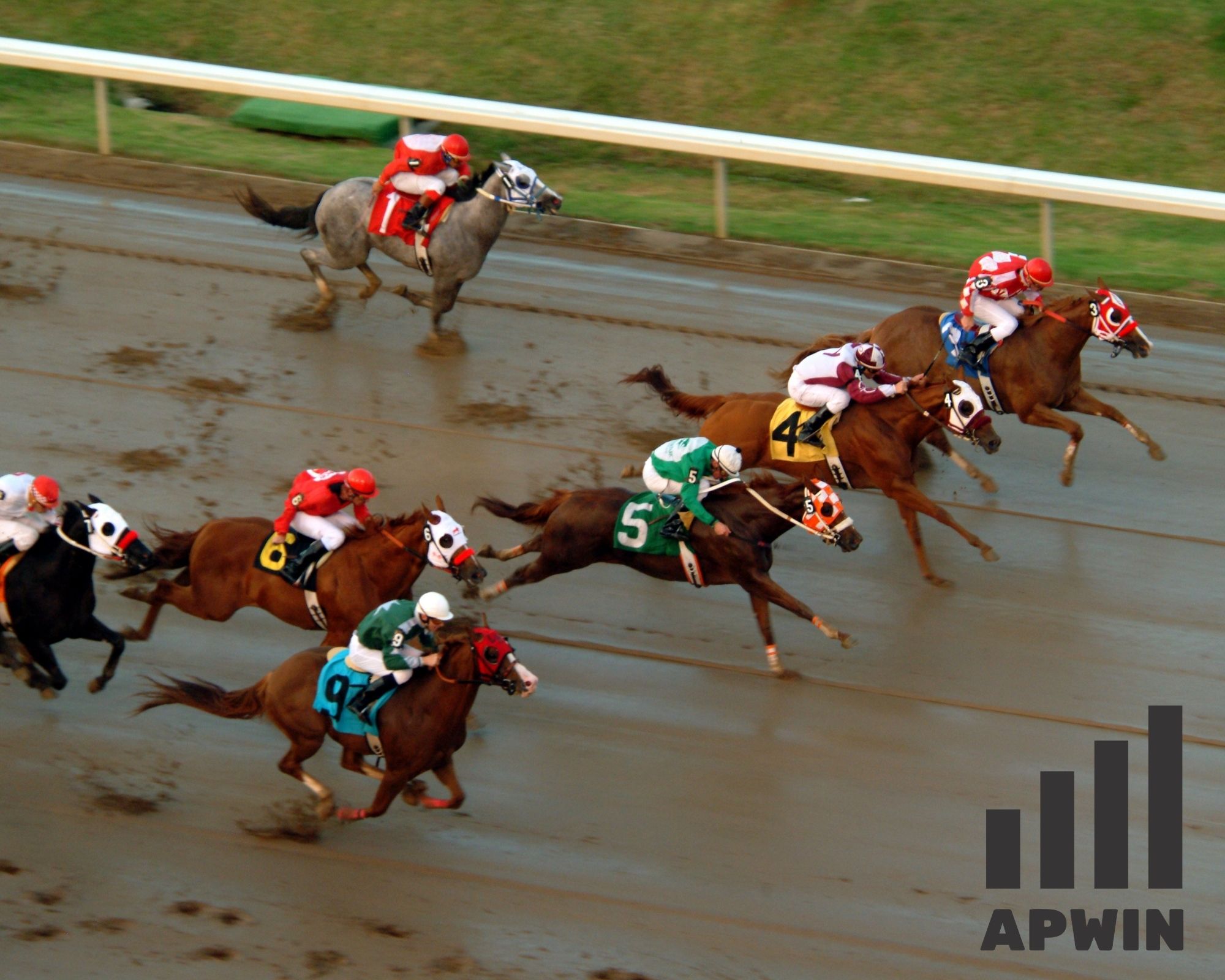 Estrategias ganadoras de apuestas en carreras de caballos