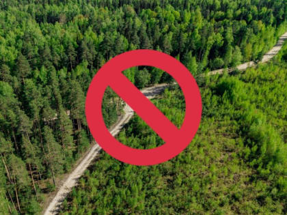 Ограничения доступа в леса Орехово-Зуевского округа из-за пожароопасности