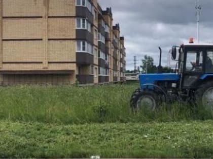 В Рузском округе проводят окос территорий