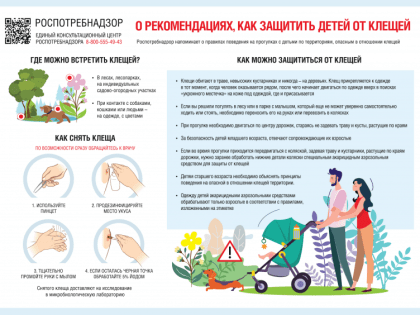 В Подмосковье активизировались клещи: что важно знать?