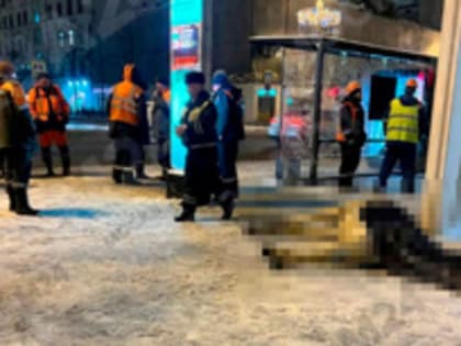 Лошадь погибла от удара током в центре Москвы