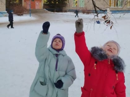 Ученики МОУ «Дедовская СОШ № 1» активно участвуют в экологической акции «Покорми птиц зимой»