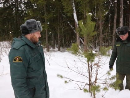 Операция «Ёлочка»