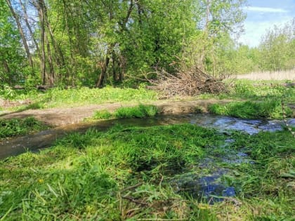 Экологическая акция в Воскресенске