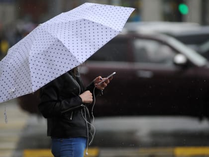 Дождливая погода ожидается в Московском регионе на этой неделе