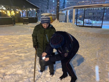 В Павловском Посаде сотрудники Госавтоинспекции напомнили о правилах безопасности в зимний период