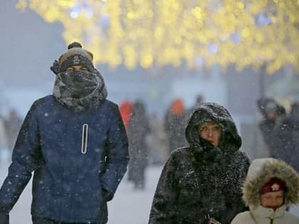 Тишковец: «будет возврат арктических холодов»