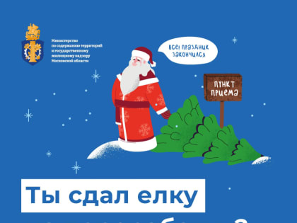 Сдай на переработку и елки, и иголки!